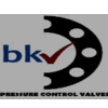 A.A    BKV VALVE AND MARKETING CO LTD