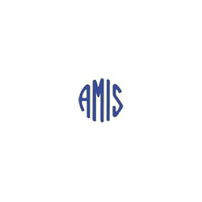 A.M.I.S. SRL