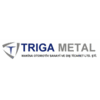 TRIGA METAL