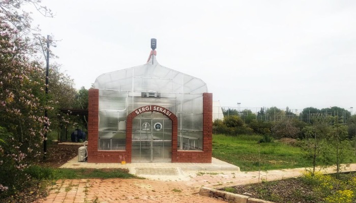 Çukurova Üniversitesi Tıbbi Aromatik Bitki Serası 