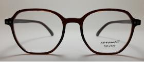 Eyewear Frame Model No.10227