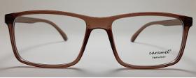 Eyewear Frame Model No. 10101