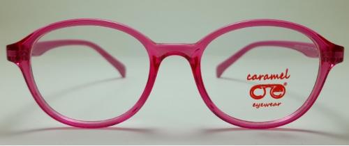 Eyewear Frame Model No. 1109 